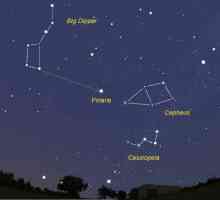 Constellation Cepheus: Mitovi, legende i opis