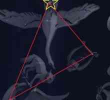 Constellation Cygnus: Shematski prikaz. Povijest konstelacije Cygnus. Kada je bolje promatrati…
