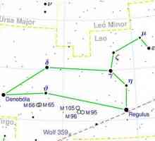 Constellation Lions: mjesto i svijetle zvijezde