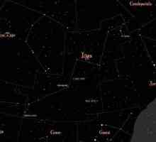 Constellation of Rynx: opis, povijest, zanimljivi objekti