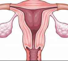 Spazme u maternici: mogući uzroci, opis i karakteristike liječenja