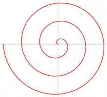 Archimedesova spirala i njezine manifestacije u svijetu oko nas