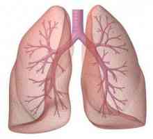 Spirometrija: što je to, kako se izvodi postupak, što to pokazuje