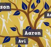 Popis židovskih muških imena i prezimena