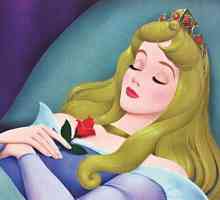 "Princess spavanje": analiza, glavni likovi i sažetak. "Princess spavanje",…