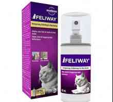 Sprej `Felivey` za mačke: upute i odgovori