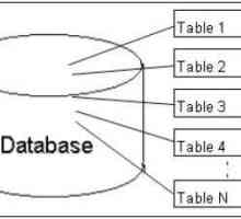 SQL različita: opis, primjeri, svojstva