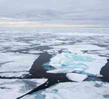 Prosječna dubina Arktičkog oceana, donji reljef i klima