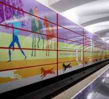 Stanica metroa "Bittsevsky Park": gradnja, zanimljive činjenice