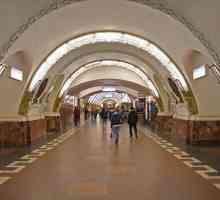 Stanica podzemne željeznice "Ploshchad Vosstaniya" u St. Petersburgu prvi je u svojoj…