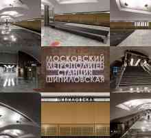 Podzemna željeznica `Shipilovskaya`: značajke, značajke, povijest, izgradnja
