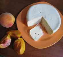Starodub sir. Okus koji prenosi tradicije Istoka