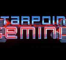 Starpoint Gemini 2: pregled igre na ruskom jeziku