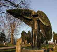 Statue anđela: pregled, povijest i zanimljive činjenice