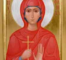 `Stefanida Damas` - ikona pravoslavnih kršćana