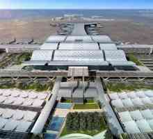 Glavni grad Qatar Doha: zračna luka, terminali i kako doći do grada