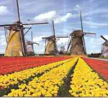 Zemlja Nizozemska: gradovi, najveći gradovi