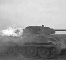 Stranice povijesti Drugog svijeta: tenkova u blizini Senna, srpanj 1941