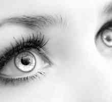 Struktura, funkcije rožnice oka