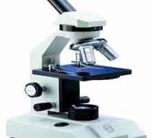 Struktura mikroskopa