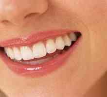 Zubne strukture: anatomski nijanse povezani s radom