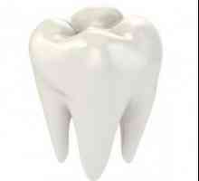 Struktura ljudskih zuba: dijagram i opis