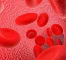 Struktura, spojevi i glavne vrste hemoglobina