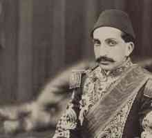 Sultan Osmanskog Carstva i 99. kalifor Abdul-Hamid II: biografija, obitelj