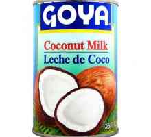 Juha s kokosovim mlijekom: značajke kuhanja, sastav i pregled