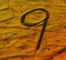 Bit broja 9. Vrijednost broja u numerologiji