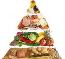Dnevna razina masti, proteina i ugljikohidrata (tablica izračuna)