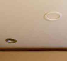 LED svjetiljke za stropove: pregled, vrste, karakteristike i recenzije