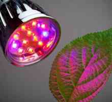 LED za biljke, raspon LED svjetiljki