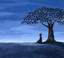 Sveto drvo Bodhija. Bodhi stablo: opis, povijest i zanimljive činjenice