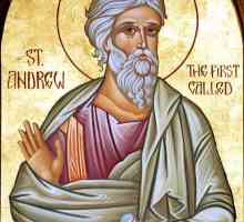 Sv. Andrija prvi pozvan: ikone, crkve, red