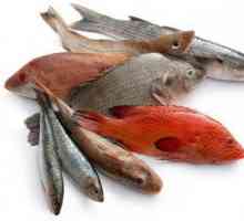 Svojstva, najbolji recept, štetu i korist ribe. Prednosti crvene ribe