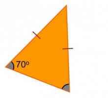Svojstva jednodijelnog trokuta i njegovih sastavnica