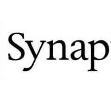 Synaptics: što je ovaj program i zašto je to?