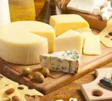 Sir, BJU: sadržaj proteina, masti i ugljikohidrata u različitim vrstama sira
