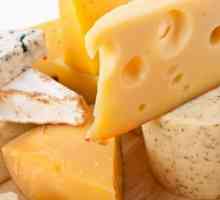 Sir proizvod - što je to? Što je napravljen od sira?