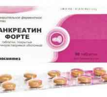 Pancreatin forte tablete: upute za uporabu i recenzije