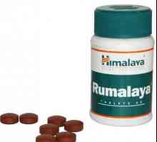 Rumalaya tablete: recenzije, upute za uporabu, opis i sastav