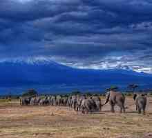 Tanzanija: nacionalni parkovi i rezervati. Posebno zaštićeni prirodni teritoriji