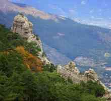 Taraktash Trail, Yalta: opis, shema rute