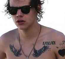 Harry Styles tetovaža - strast, strast, kapa?