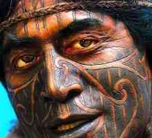 `Maori` tetovaža: značenje plemena, kako se primjenjuju, kako se razlikuju