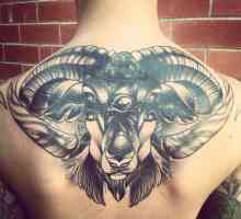 Tattoo `Aries` - izbor svrhovit i ustrajan