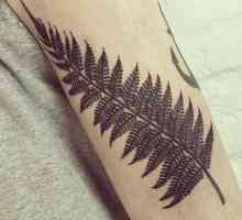 `Fern` tetovaža na ruci: vrijednost