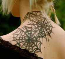 Tattoo `pauk web`: značenje i značenje slike