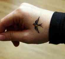 Tattoo `Bird` - ljepota na tijelu